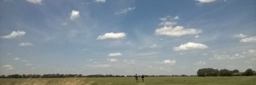 1° Primer Informe Fitosanitario para la Campaña 2015-2016