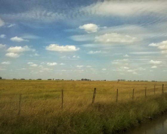 Revisión de campos para alquiler