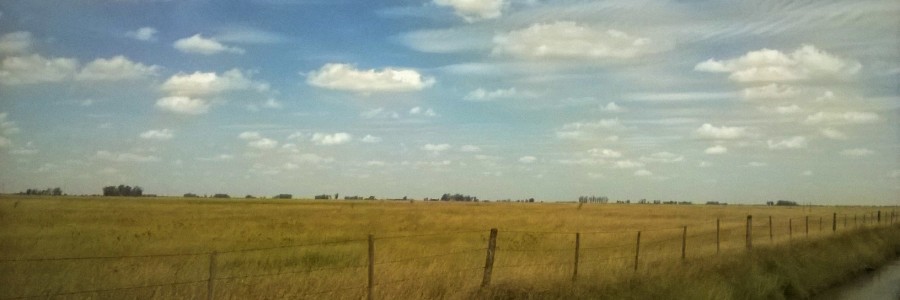 Revisión de campos para alquiler