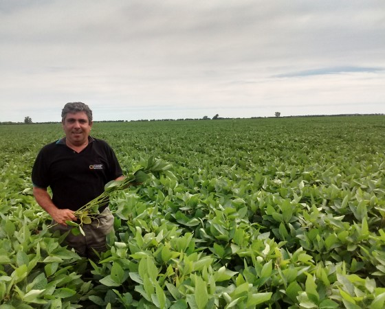 Malezas resistentes a Glifosato en cultivo de Soja (Campaña 2015-2016)